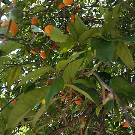 Seaesta Vasiliki 3 Apartman